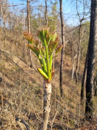 이찬암님의 자유주제 · 자유게시판 작성글 사진