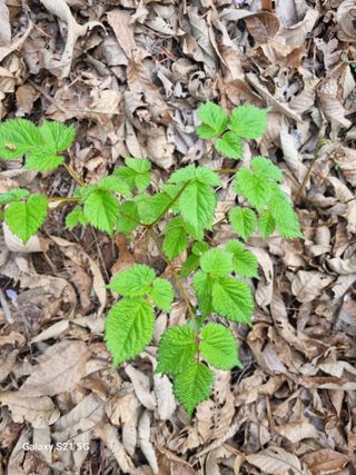 태ㅡㅡ양님의 자유주제 · 자유게시판 작성글 사진