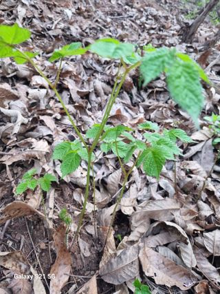 태ㅡㅡ양님의 자유주제 · 자유게시판 작성글 사진