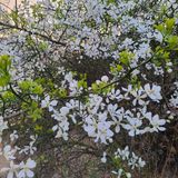 팜모닝 자유주제·자유게시판 게시글 이미지