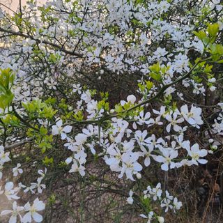 knlee님의 자유주제 · 자유게시판 작성글 사진