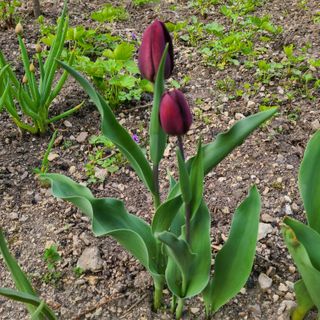 knlee님의 자유주제 · 자유게시판 작성글 사진