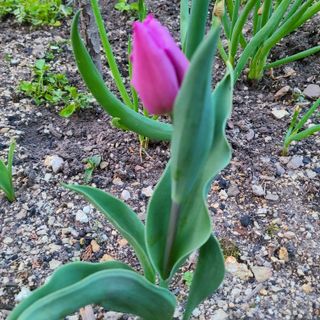 knlee님의 자유주제 · 자유게시판 작성글 사진