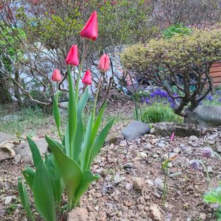 knlee님의 자유주제 · 자유게시판 작성글 사진