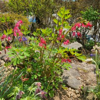 knlee님의 자유주제 · 자유게시판 작성글 사진