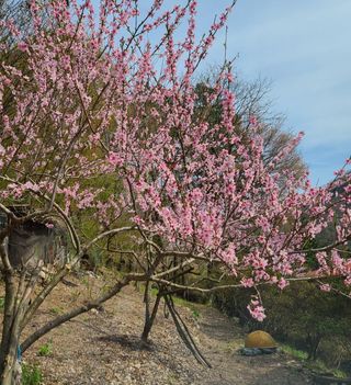 knlee님의 자유주제 · 자유게시판 작성글 사진
