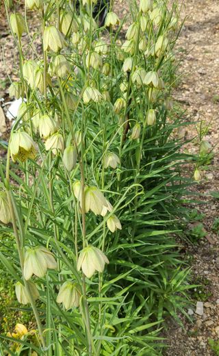 knlee님의 자유주제 · 자유게시판 작성글 사진