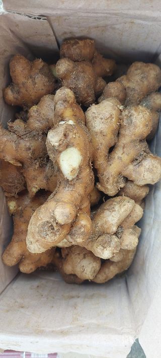 쌍둥이할매님의 자유주제 · 자유게시판 작성글 사진