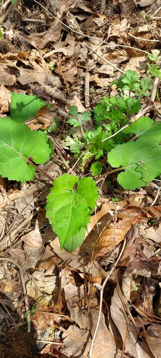 이경옥님의 자유주제 · 자유게시판 작성글 사진