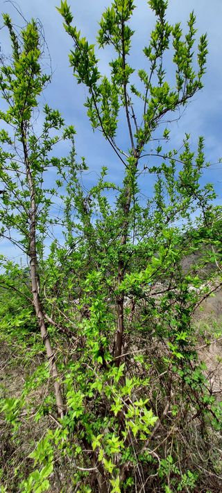 이경옥님의 자유주제 · 자유게시판 작성글 사진