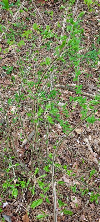 이경옥님의 자유주제 · 자유게시판 작성글 사진