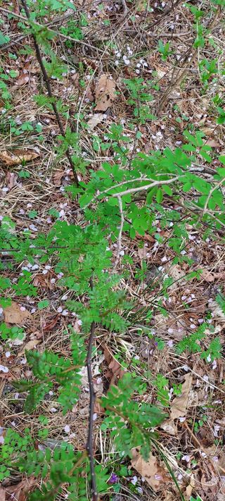 이경옥님의 자유주제 · 자유게시판 작성글 사진