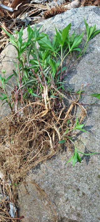 이경옥님의 자유주제 · 자유게시판 작성글 사진