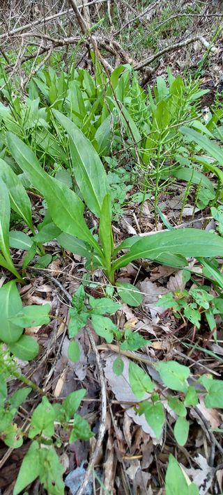 이경옥님의 자유주제 · 자유게시판 작성글 사진