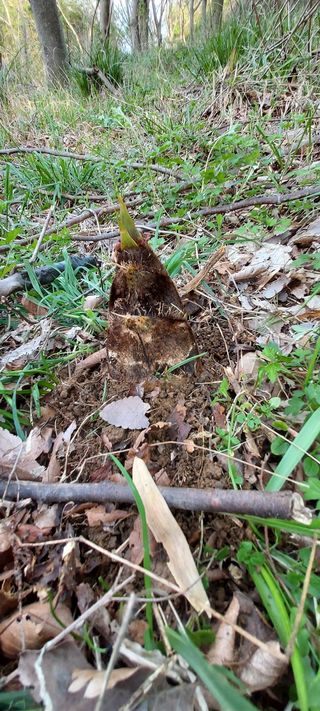 이경옥님의 자유주제 · 자유게시판 작성글 사진