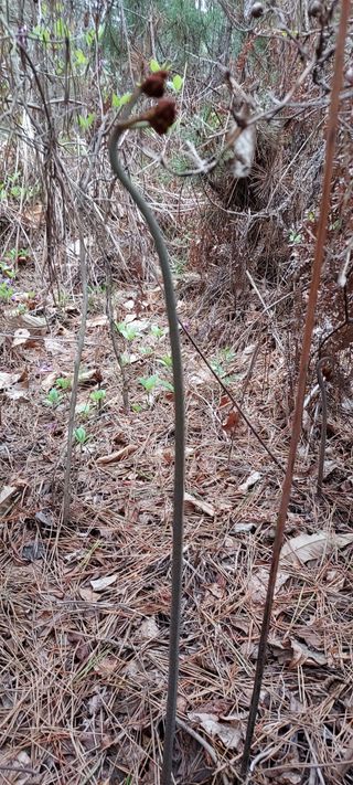 이경옥님의 자유주제 · 자유게시판 작성글 사진