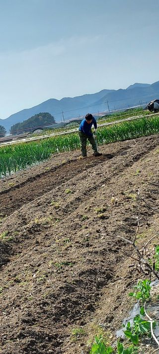 이경옥님의 자유주제 · 자유게시판 작성글 사진
