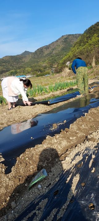 이경옥님의 자유주제 · 자유게시판 작성글 사진