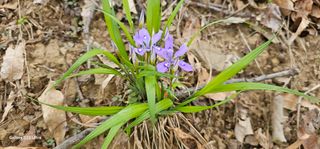 해오름달님의 자유주제 · 자유게시판 작성글 사진