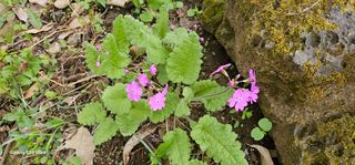 해오름달님의 자유주제 · 자유게시판 작성글 사진