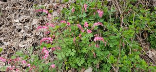 해오름달님의 자유주제 · 자유게시판 작성글 사진