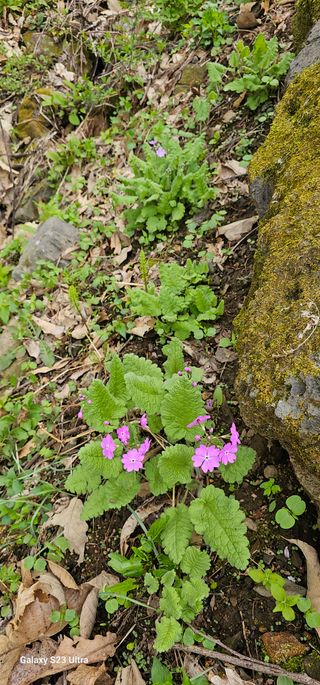 해오름달님의 자유주제 · 자유게시판 작성글 사진