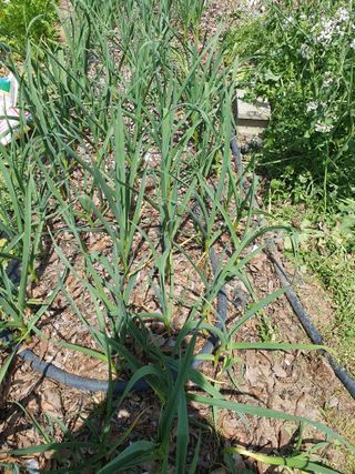 구성휘님의 자유주제 · 자유게시판 작성글 사진