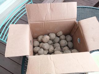 hoonkoo님의 자유주제 · 자유게시판 작성글 사진