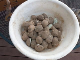 hoonkoo님의 자유주제 · 자유게시판 작성글 사진