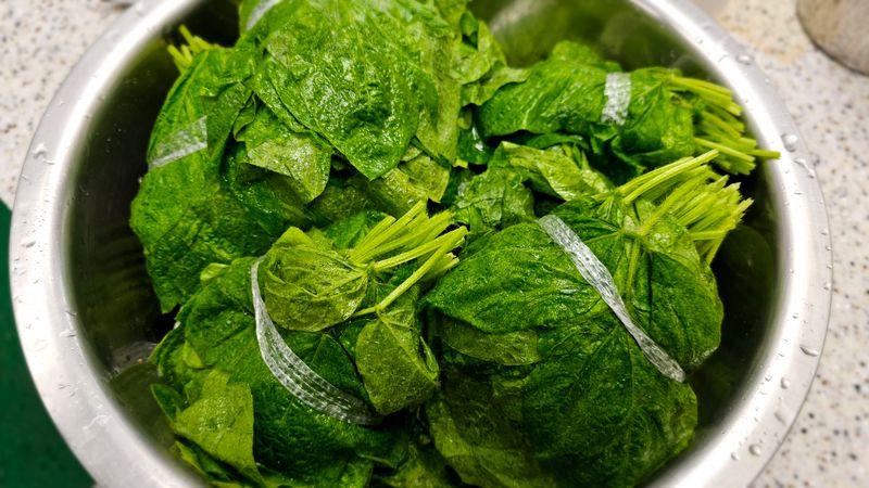 은규65772812님의 장터 판매 상품 [콩잎물김치와표고강된장] 첨부 사진