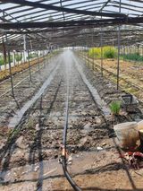 팜모닝 파·영농일지 게시글 이미지