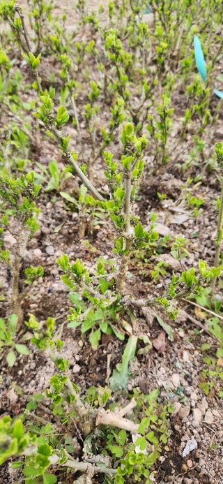 이정현님의 자유주제 · 사진전 작성글 사진