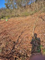 팜모닝 기타작물·영농일지 게시글 이미지