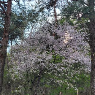 서녕영더기님의 자유주제 · 자유게시판 작성글 사진