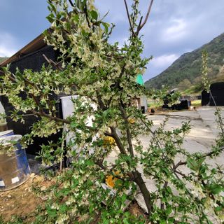 서녕영더기님의 자유주제 · 자유게시판 작성글 사진