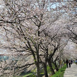 서녕영더기님의 자유주제 · 자유게시판 작성글 사진