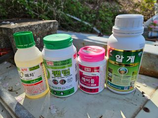 장양농원6606님의 기타작물 · 영농일지 작성글 사진