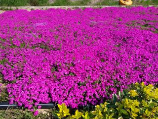 치자19496님의 자유주제 · 사진전 작성글 사진