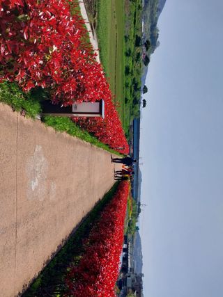치자19496님의 자유주제 · 사진전 작성글 사진