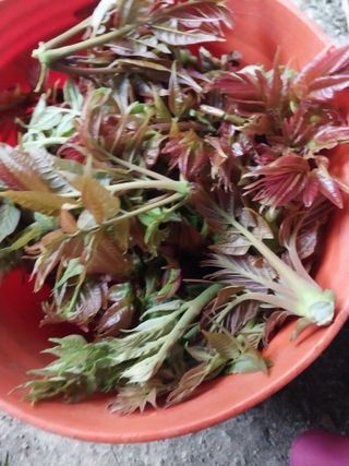 치자19496님의 자유주제 · 사진전 작성글 사진