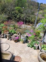 팜모닝 자유주제·사진전 게시글 이미지