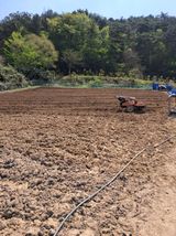 팜모닝 자유주제·자유게시판 게시글 이미지