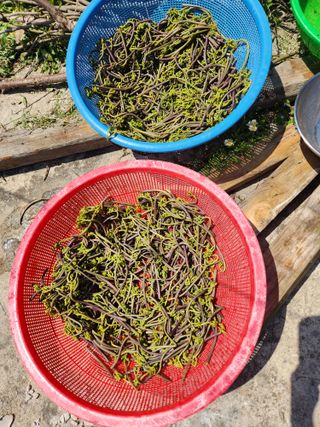 상태메롱님의 자유주제 · 자유게시판 작성글 사진