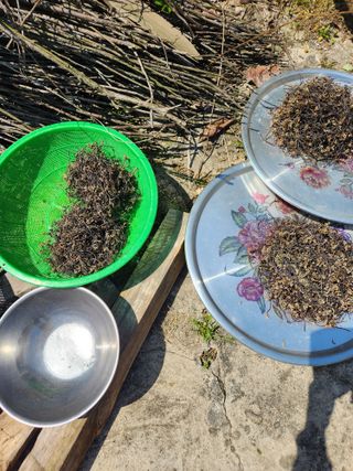 상태메롱님의 자유주제 · 자유게시판 작성글 사진