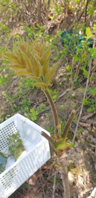 박선화님의 자유주제 · 자유게시판 작성글 사진