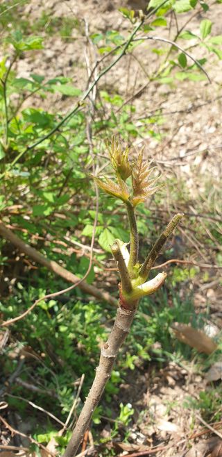 박선화님의 자유주제 · 자유게시판 작성글 사진