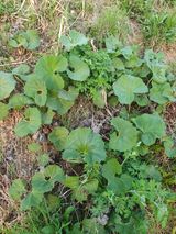 팜모닝 자유주제·자유게시판 게시글 이미지