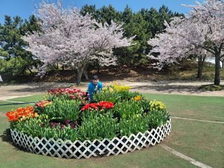 최성분님의 자유주제 · 자유게시판 작성글 사진