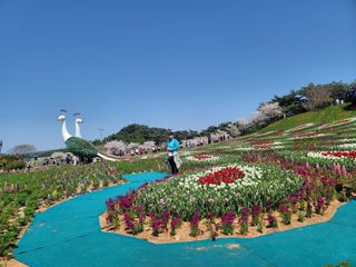 최성분님의 자유주제 · 자유게시판 작성글 사진