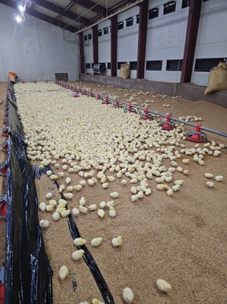 이호곤님의 자유주제 · 자유게시판 작성글 사진